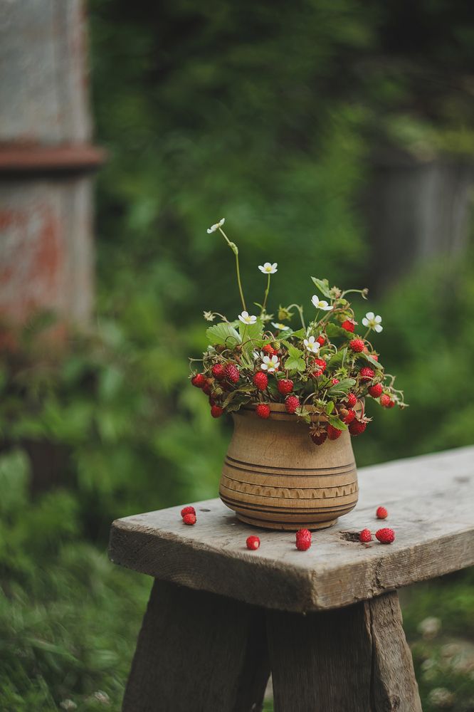 Photograph by Анна Ушакова