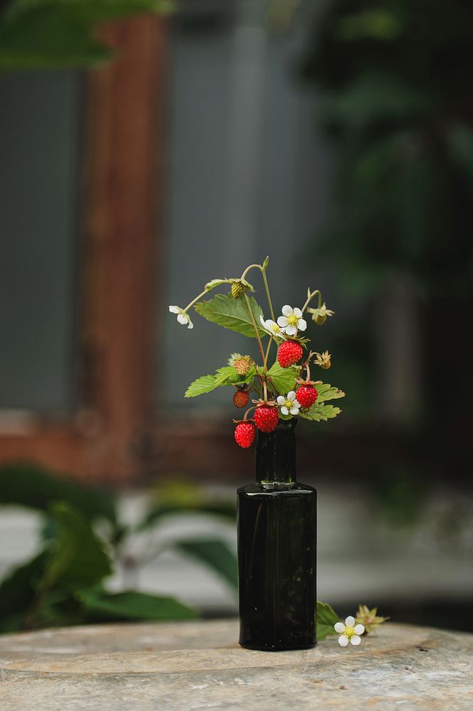 Photograph by Анна Ушакова