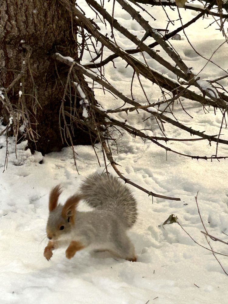 Photograph by Амирова Анар