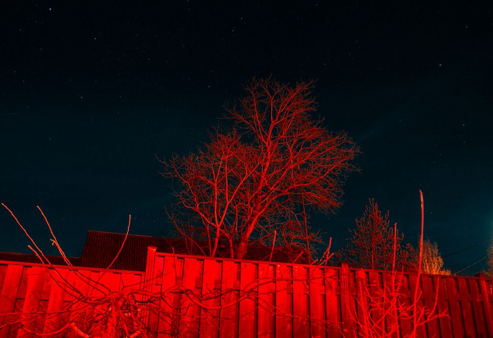 Photograph by Вера Владимирова