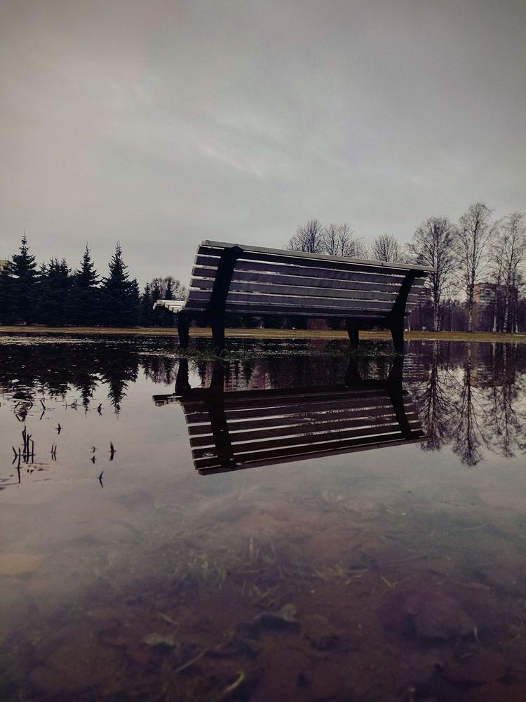 Photo #12334973