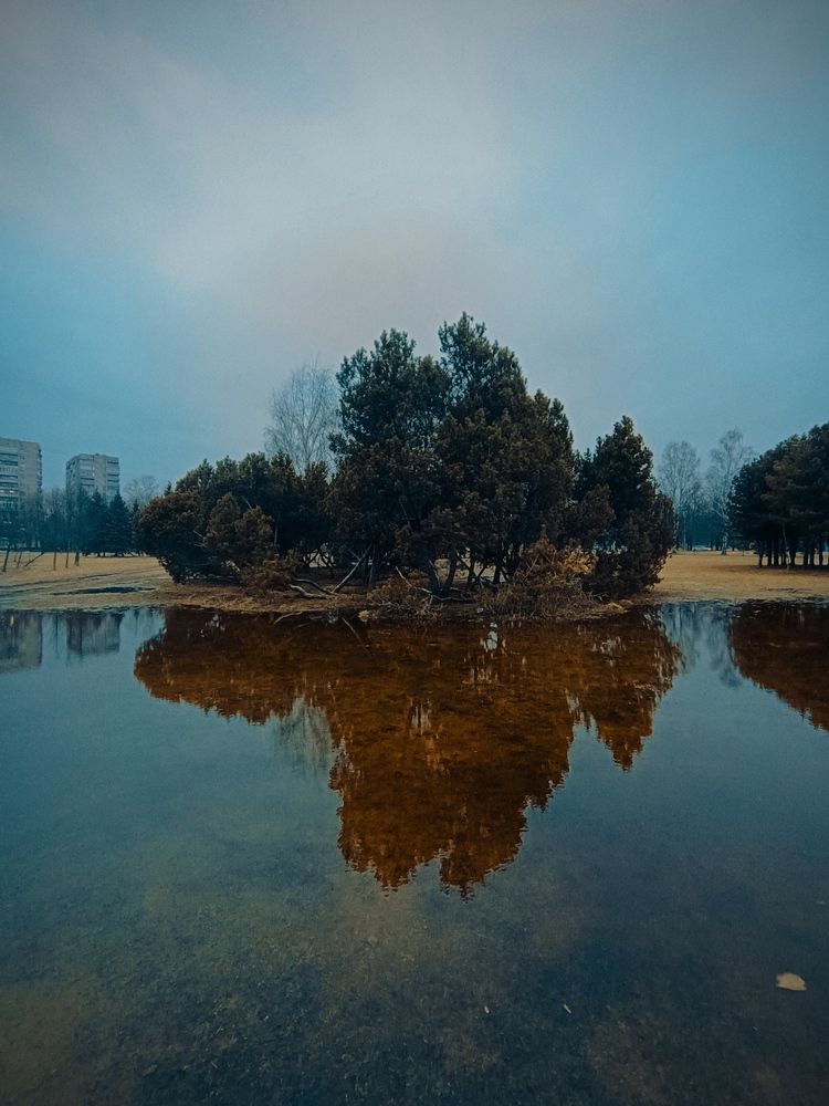 Photo #12334974