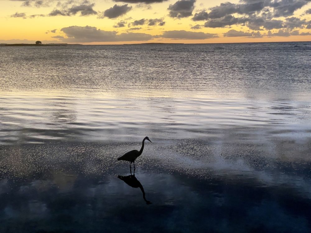 Photograph by Татьяна