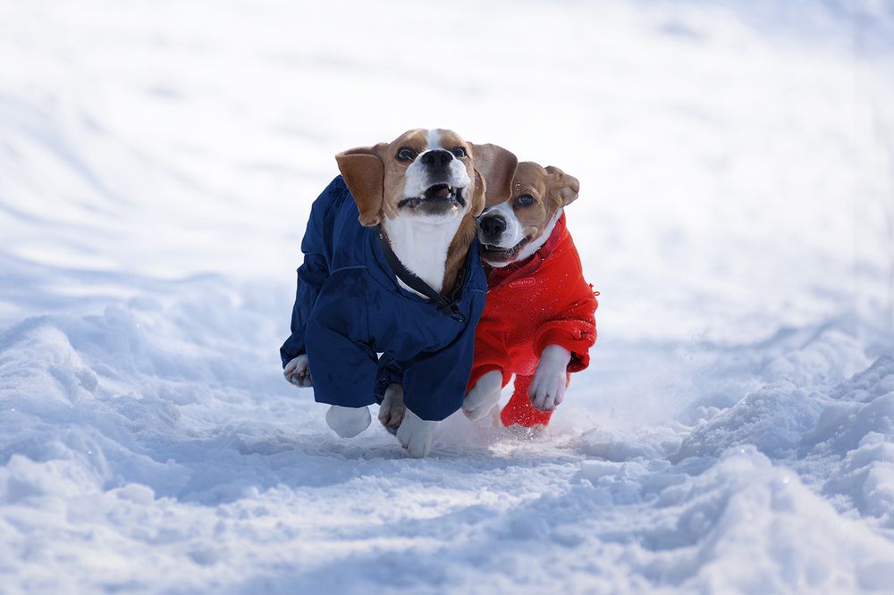 Photograph by Виктория Сафонова