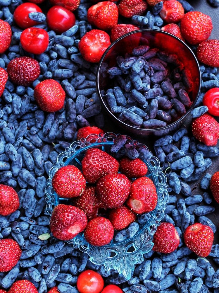 Photograph by Любовь Колмакова