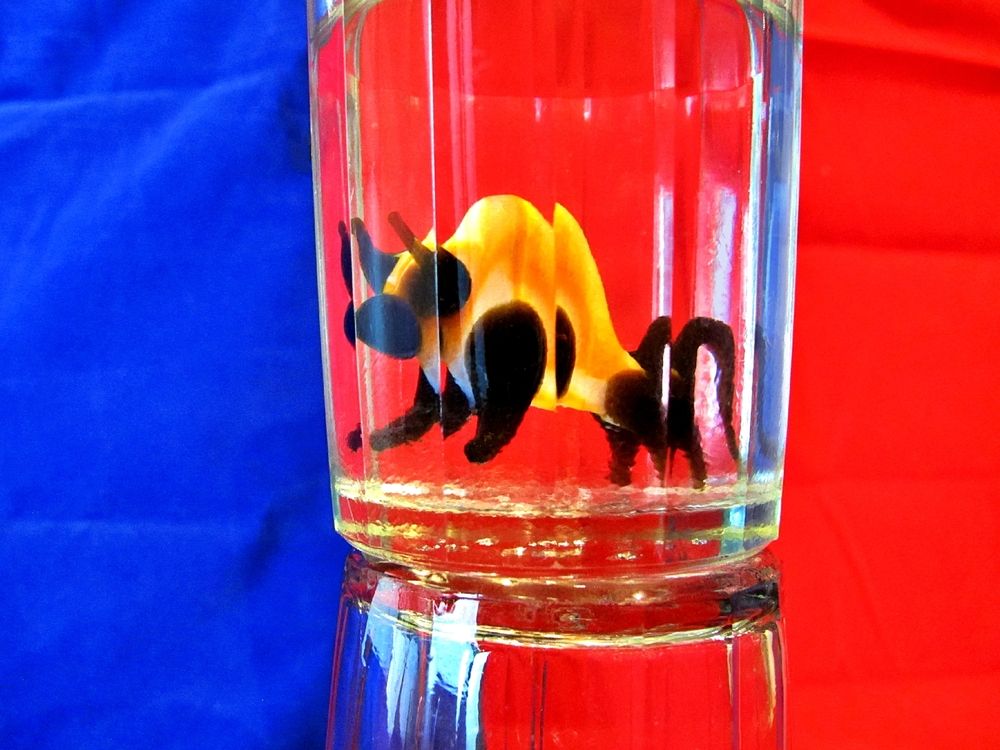 Photograph by Татьяна Федорова