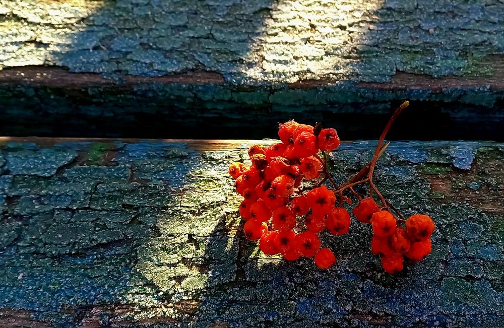 Photograph by Назмутдинова Сауия