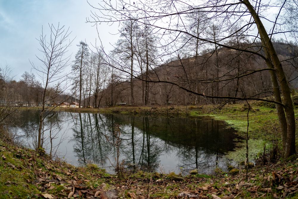 Фотография автора Referee Дмитрий