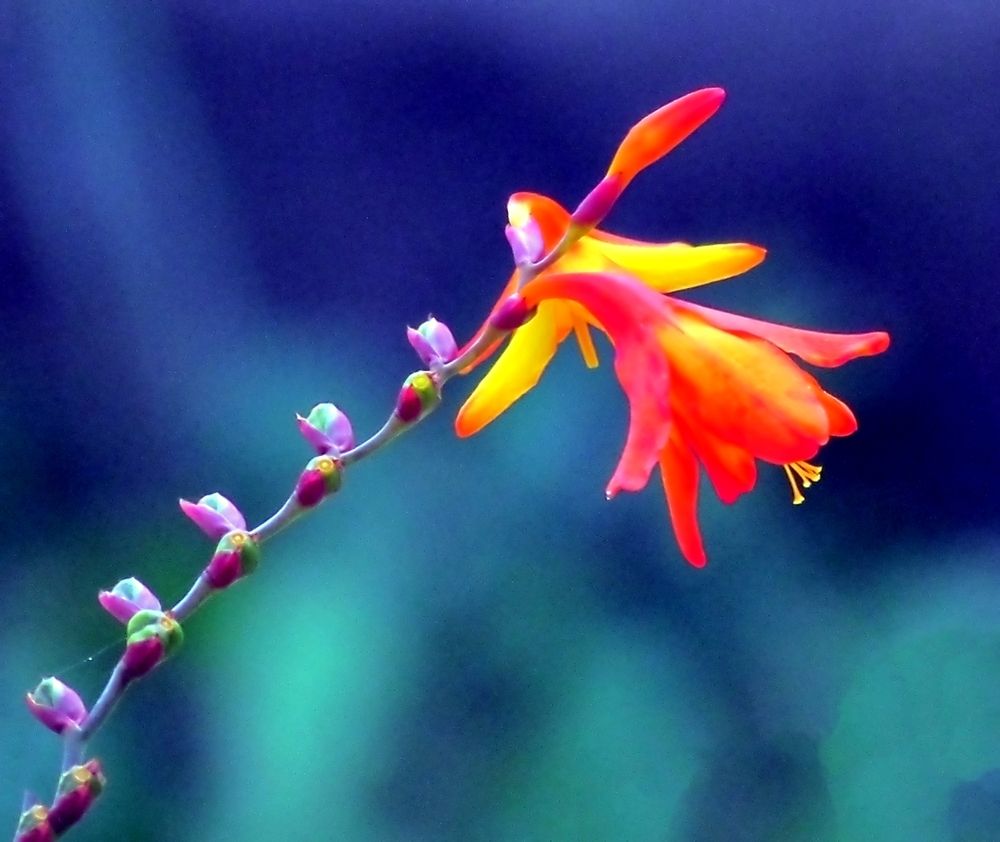 Photograph by Савоцкий Роман