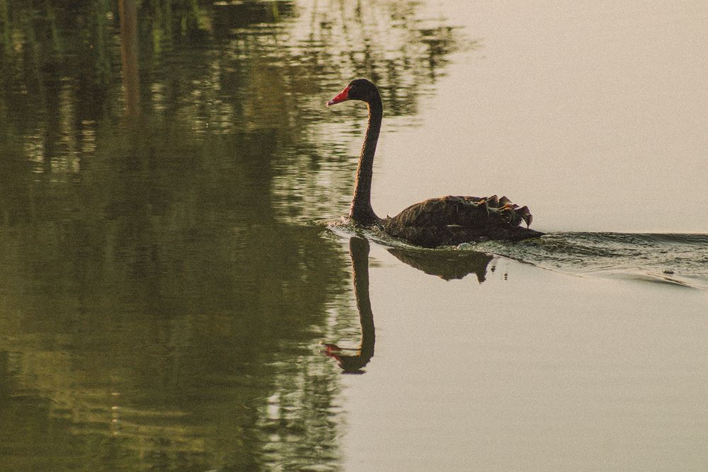 Photograph by Oxana Berezovskaya