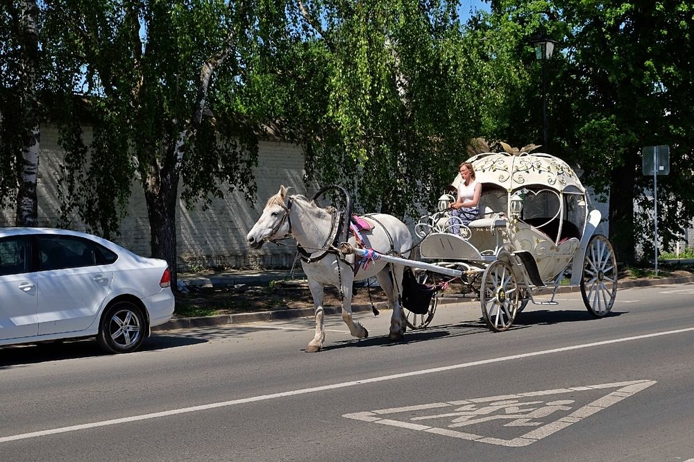 Одной дорогой