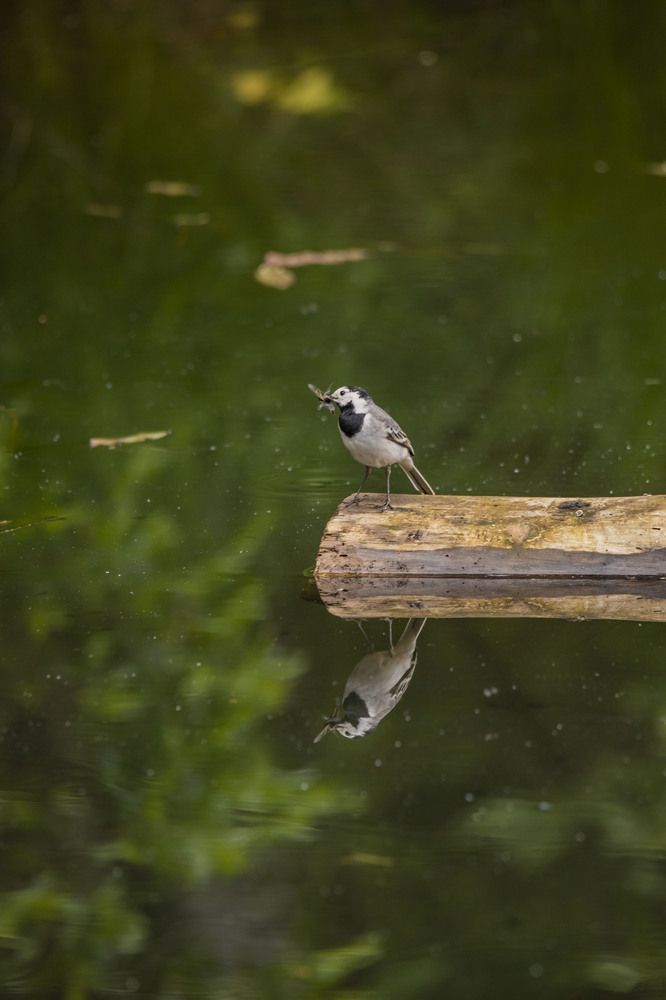 Photograph by Елена Перминова