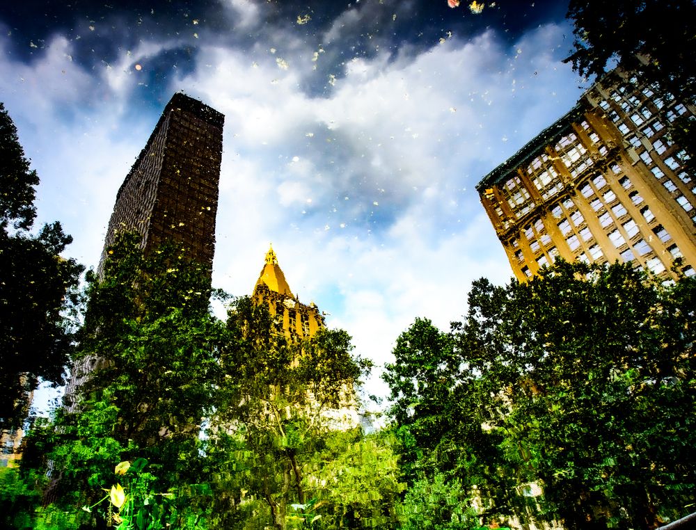 Photograph by Plakida Alexander