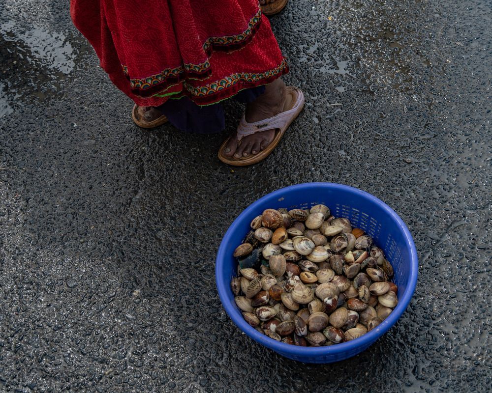 Фотография автора Kushal Lad