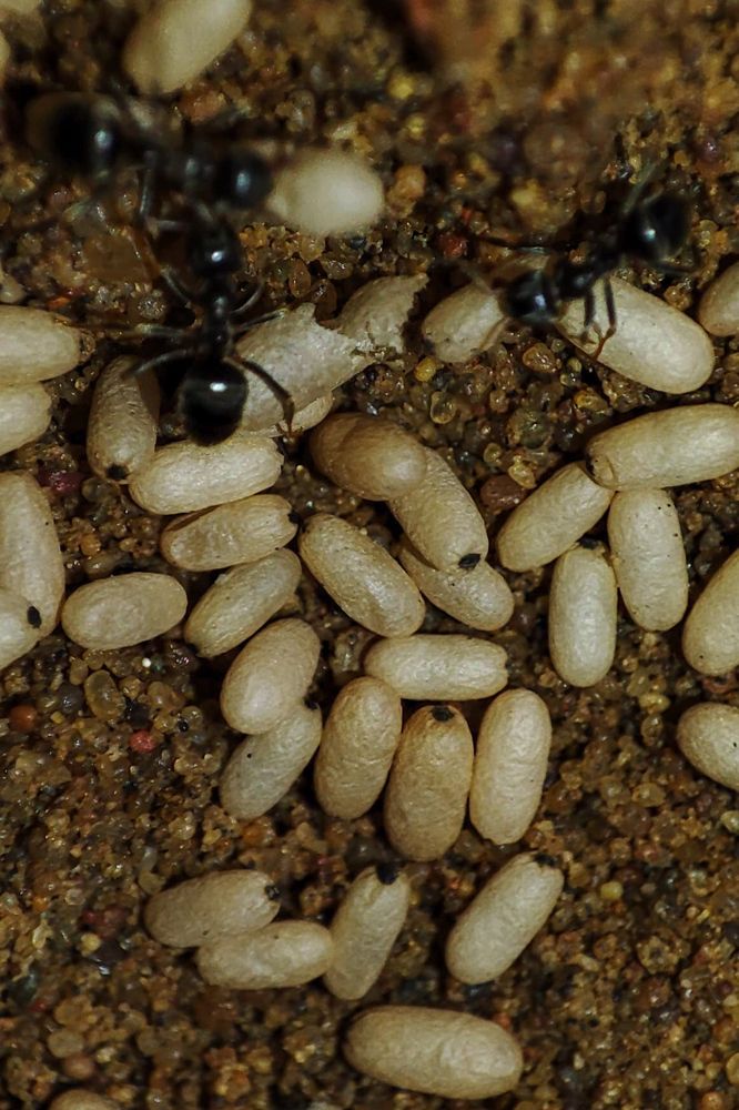 Photograph by Ирина Строкова