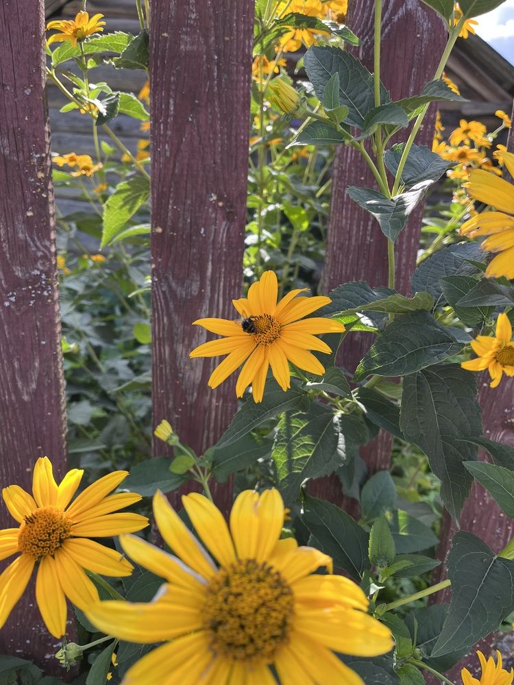 Photograph by Анастасия Стасевич