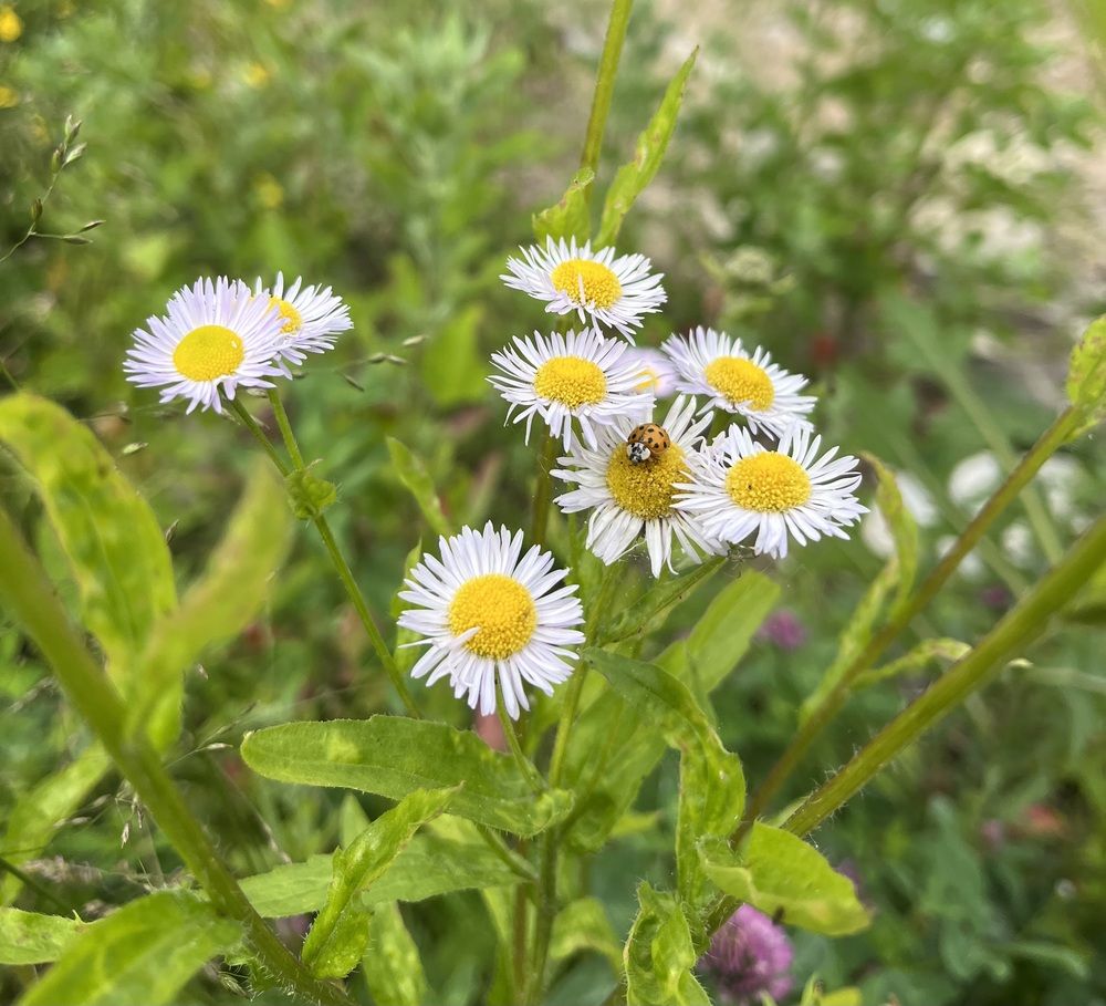 Photograph by Анастасия Стасевич