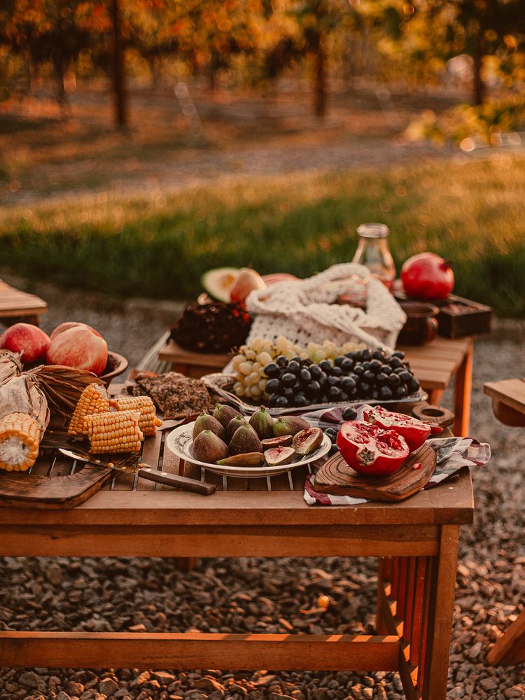 Photograph by Sasha Alisun