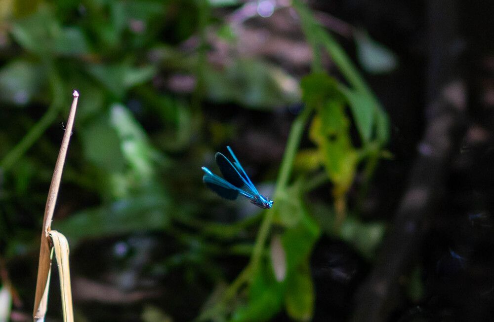 Photograph by Ольга Захарова