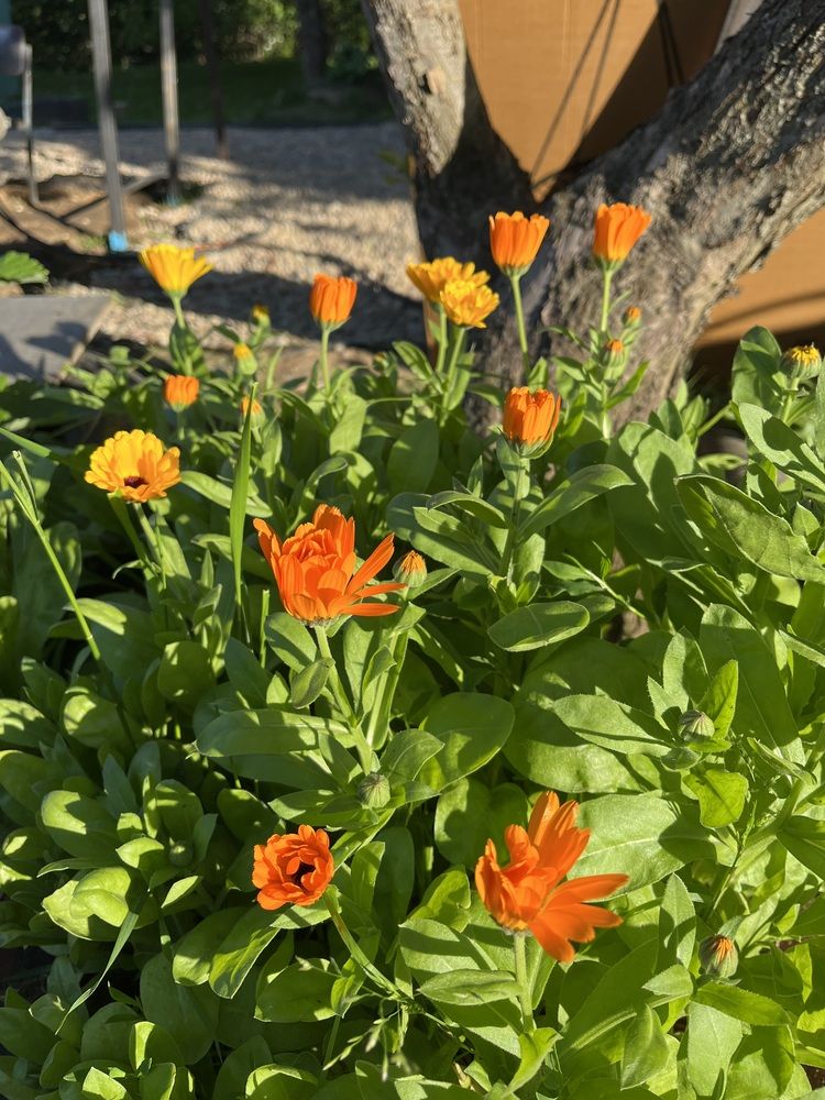 Photograph by Анастасия Стасевич