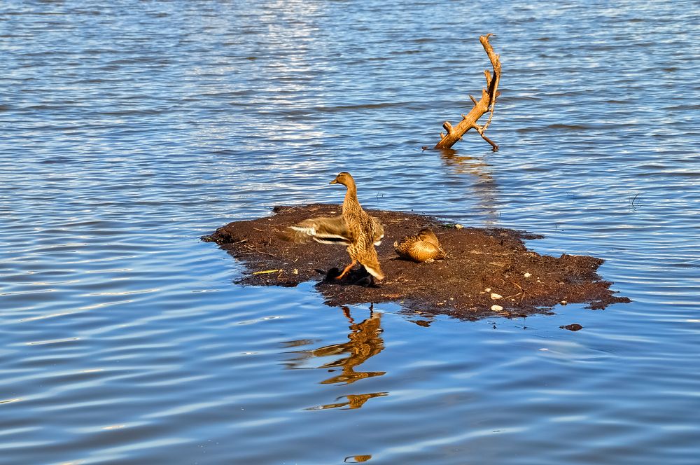 Photograph by БОРИС АНТОНОВ