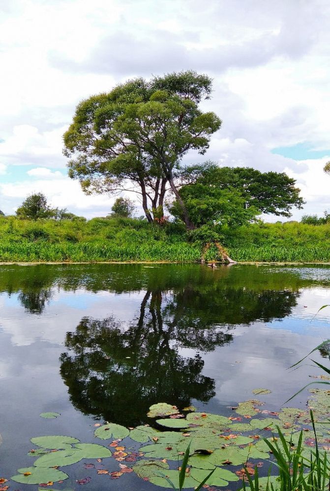 Photograph by Дмитрий Фетисов