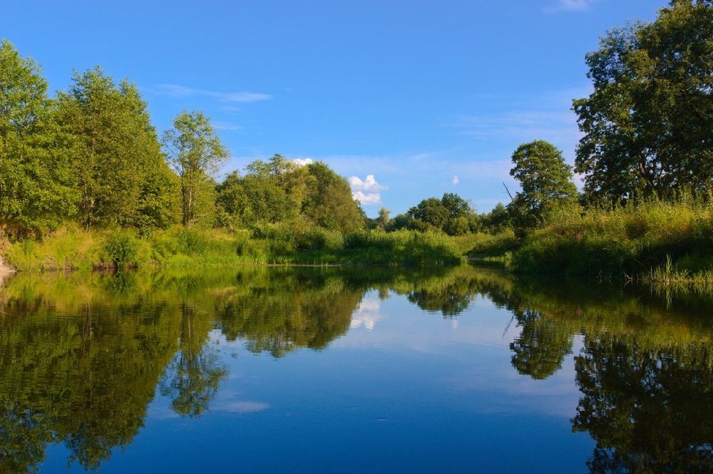 Photograph by Дмитрий Фетисов