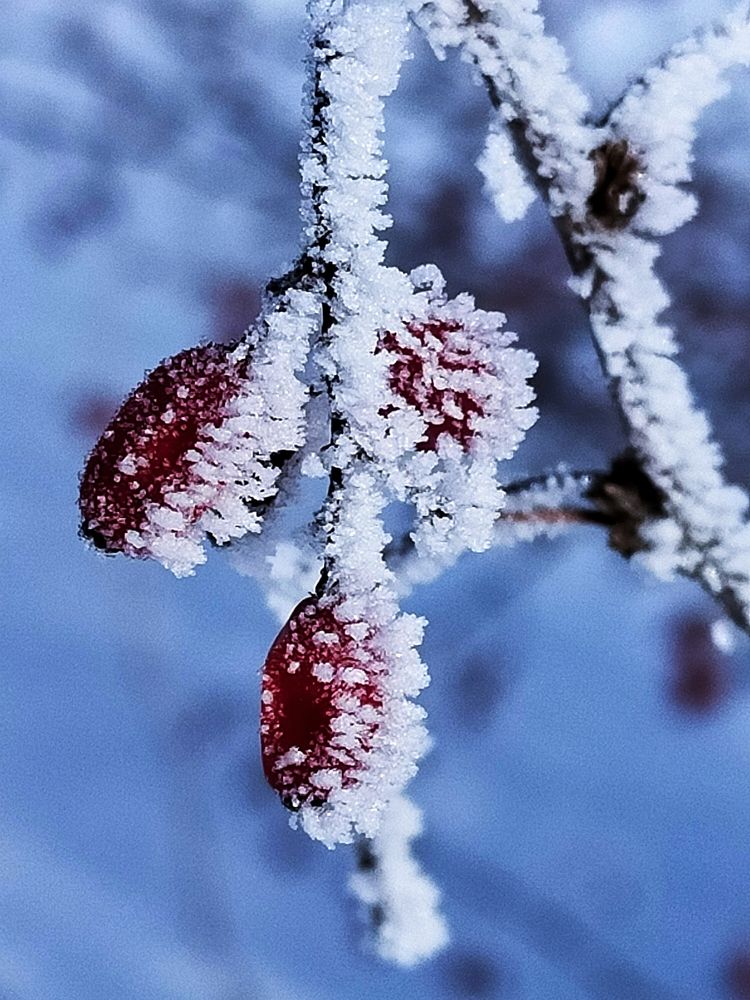 Photograph by Ольга Мартьянова