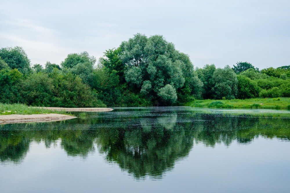 Photograph by Галина Ложечникова