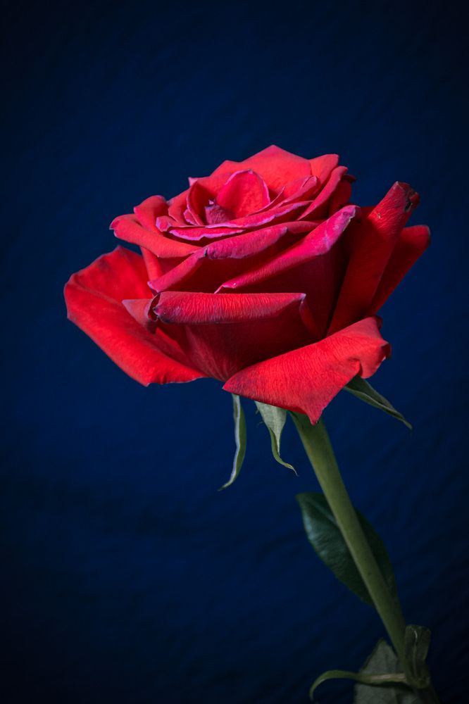 Photograph by Людмила Баймухаметова