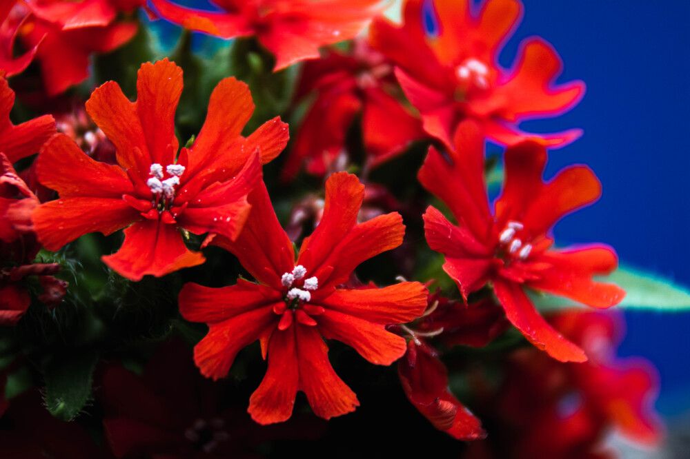 Photograph by Людмила Баймухаметова