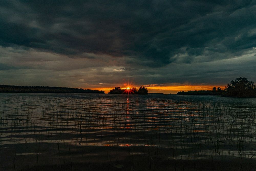 Фотография автора ОЛЬГА БУЛЫЧЕВА