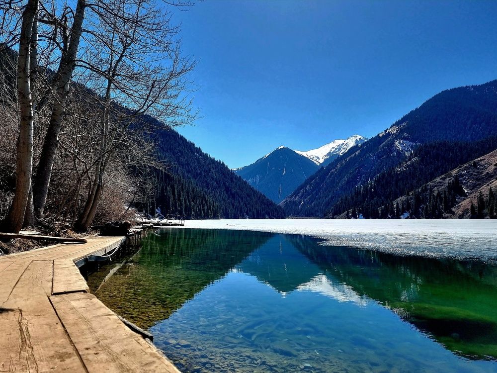 Фотография автора ОЛЬГА БУЛЫЧЕВА