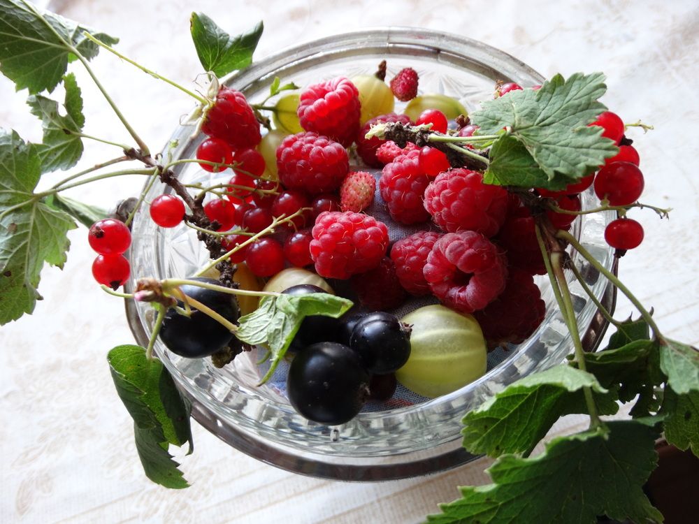 Photograph by Николай Худяков