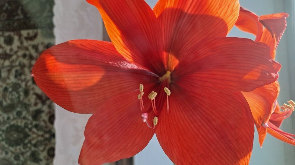 Photograph by Николай Худяков