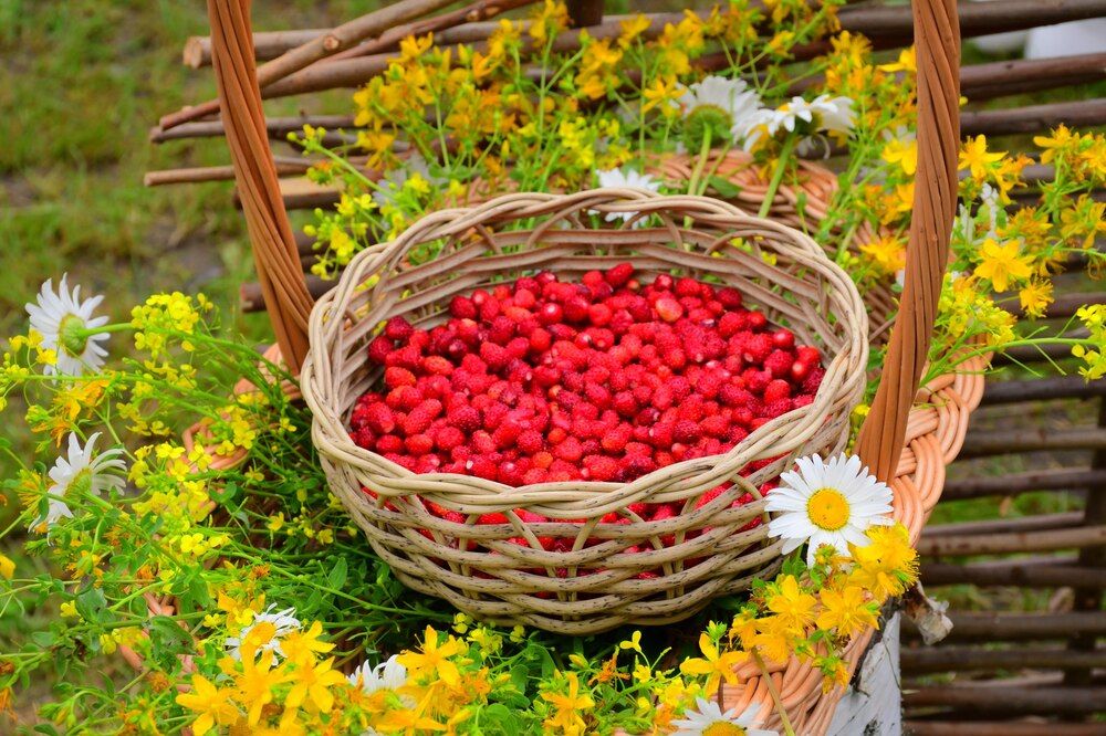 Photograph by Ксения Лебедева