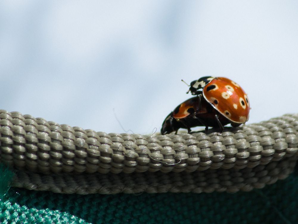 Фотография автора Надежда Надежда