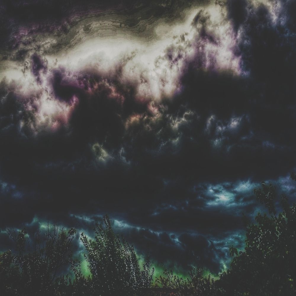 Photograph by Nikolett Mengyi