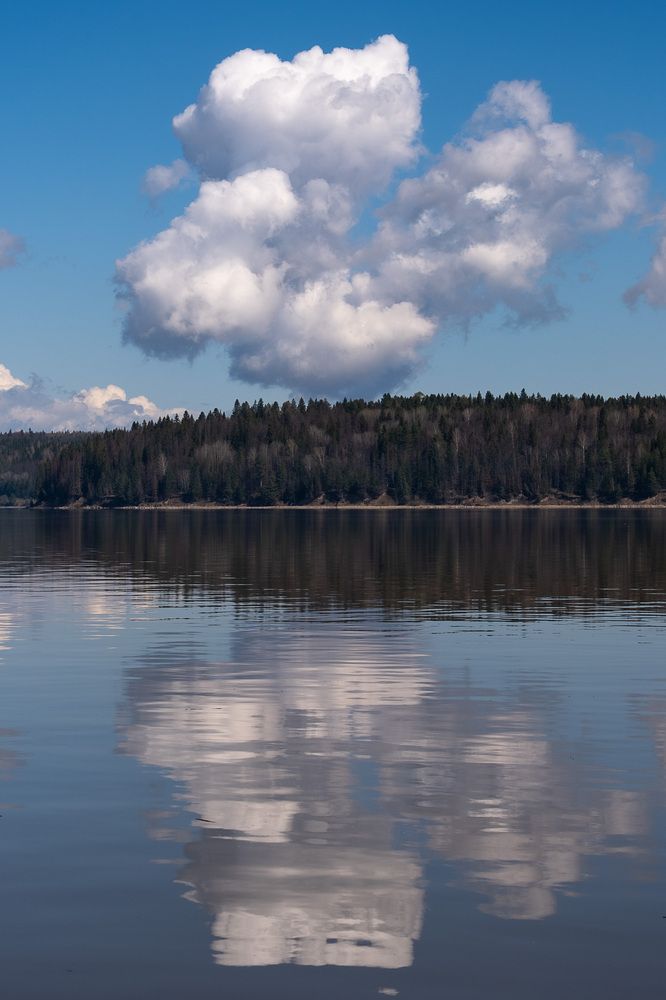 Фотография автора Светлана Ощепкова