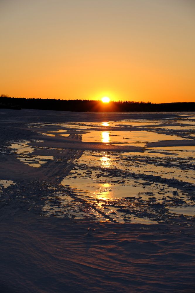 Фотография автора Светлана Ощепкова