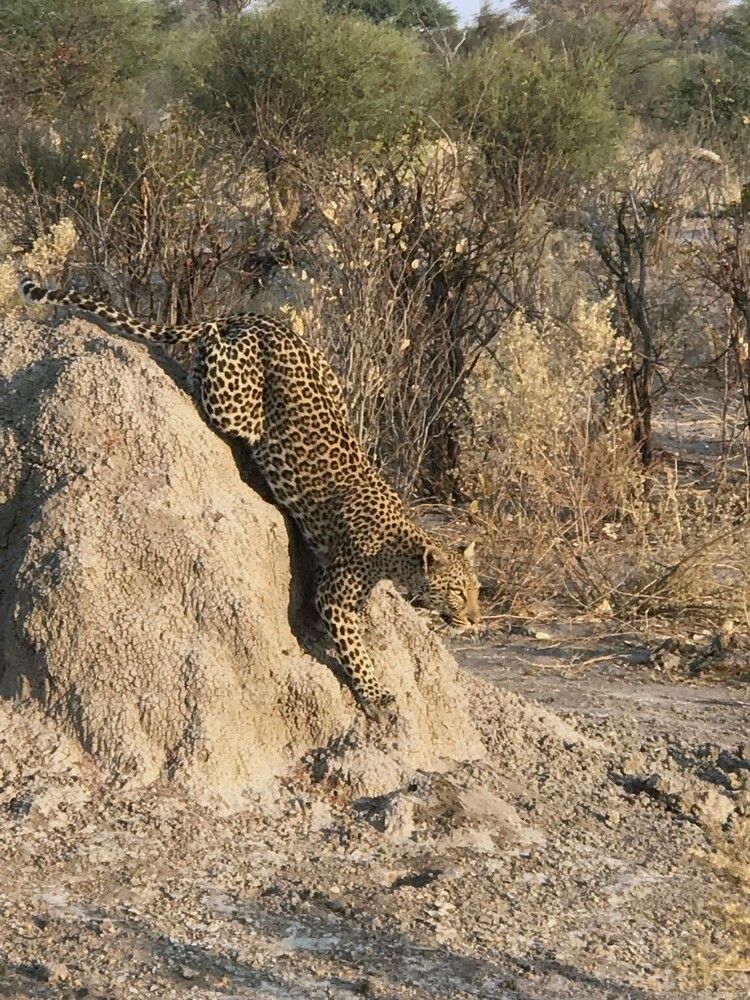 Photograph by Ирина Орлова