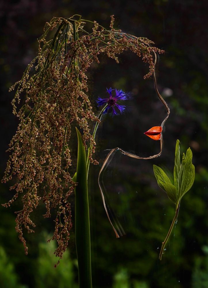 A Whisper in Red and Blue