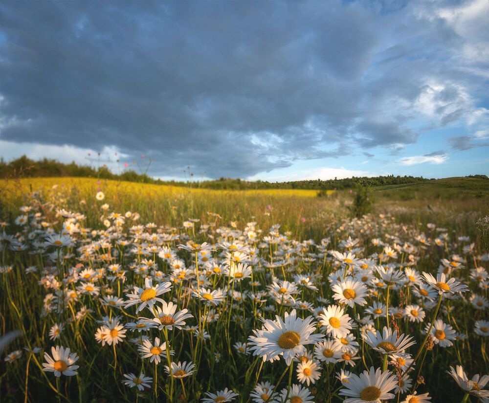 Photograph by Наталья Агеева
