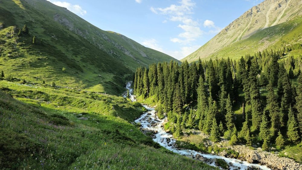 Photograph by Денис Андреевич