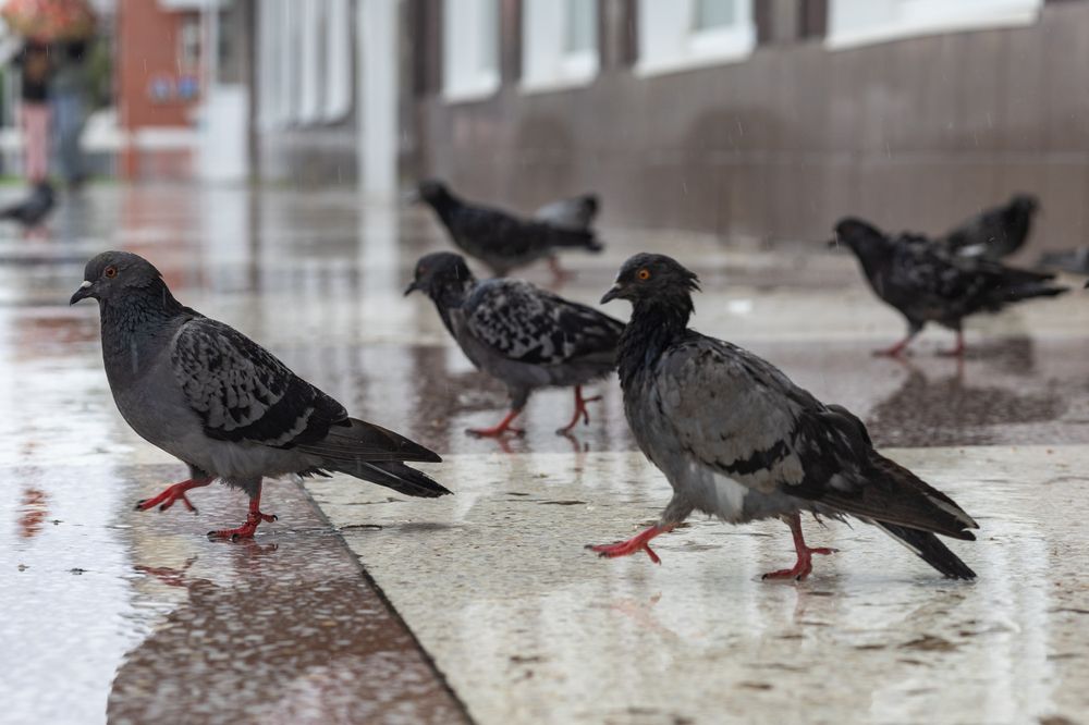 Photograph by Дмитрий Иванцов