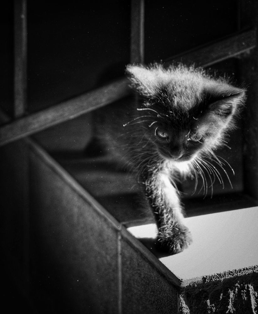 Photograph by Сергей Кошин