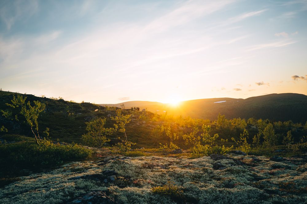 Полярный день! Мурманская область