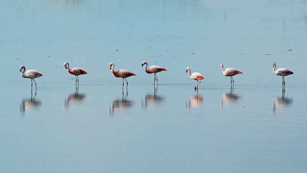 Photograph by Anna Perevozchikova