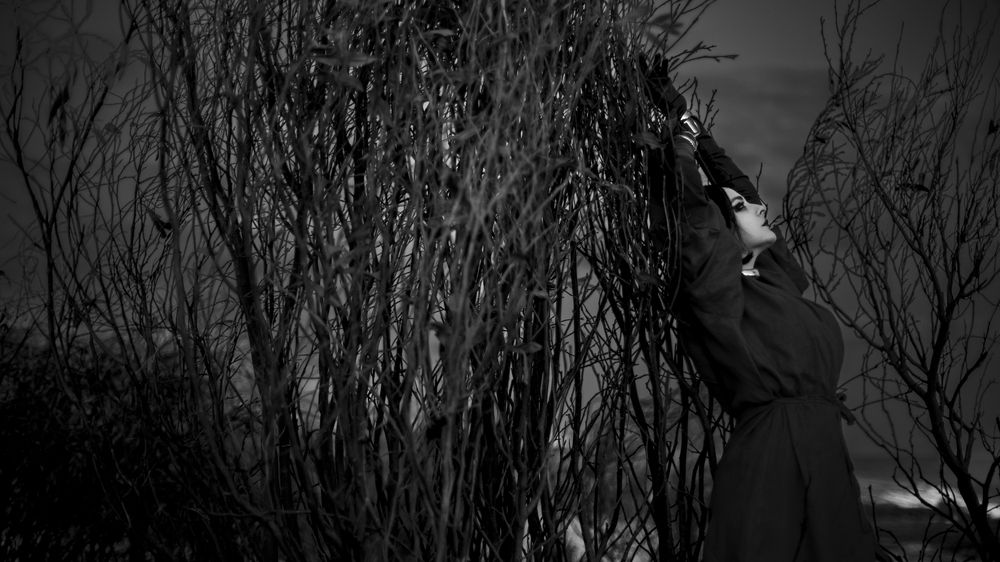 Photograph by Елизавета Чечевица