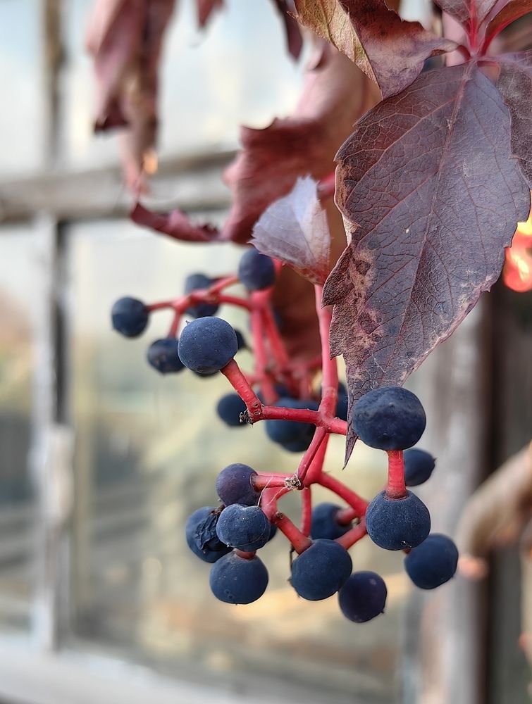 Photograph by Светлана Булыгина